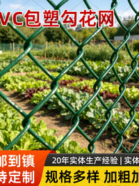 PVC Coated Chain Link Fence Green Diamond Mesh for Pet Enclosures and Garden Fencing