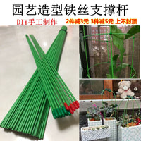 Plant Support Stakes for Climbing Plants, Potted Flowers, and Garden Vines