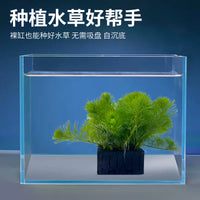 Aquatic Plant Cultivation Box for Fish Tanks - Submersible Planter for Live Aquarium Plants