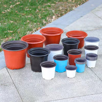 Disposable Two-Tone Nursery Pots for Seedlings and Succulents, Plastic Planters for Home Gardening