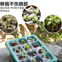 Seedling Starter Tray Kit with High Dome Lid, 12-Cell Greenhouse Grow Box for Germination