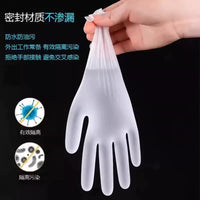 Disposable Food Grade Plastic Gloves for Kitchen and Catering, Waterproof and Oil-proof