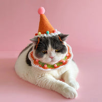 Pet Birthday Hat and Scarf Set for Cats and Dogs - Cute Handmade Party Decoration and Photo Prop