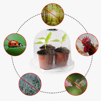 Plant Seedling Cover Dome with Humidity and Temperature Control for Garden
