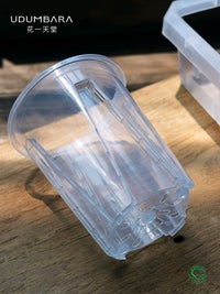 Clear Plastic Orchid Pot with Tray for Root Observation and Propagation