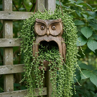 Rustic Owl Bird Feeder & Planter for Garden Decor