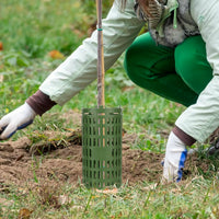 Adjustable Interlocking Plastic Tree Trunk Protector Guard for Seedlings and Young Trees