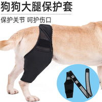 Pet Dog Leg Brace for Injury Support and Protection
