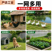 Welded Wire Mesh Fence for Poultry and Garden Enclosures, PVC Coated Steel Wire Netting
