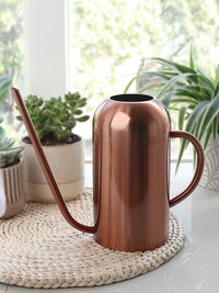 Stainless Steel Long Spout Watering Can for Indoor Plants & Succulents, Nordic Style Metal Small Sprinkler