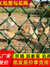 PVC Coated Chain Link Fence Green Diamond Mesh for Pet Enclosures and Garden Fencing