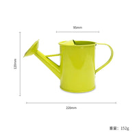 Kids' Metal Watering Can for Outdoor Gardening and Play
