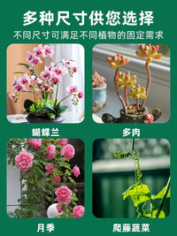 Plant Support Stakes for Potted Plants, Monstera, Orchids - Garden Fixator and Anti-Toppling Stand