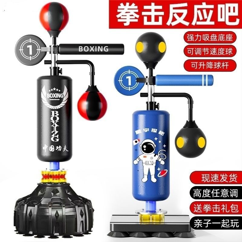 Punching Bag for Adults & Kids, Home Fitness Taekwondo Training Equipment with Gloves & Protective Gear