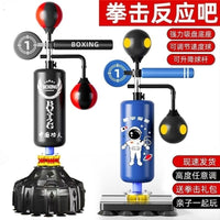 Punching Bag for Adults & Kids, Home Fitness Taekwondo Training Equipment with Gloves & Protective Gear