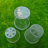 Clear Hard Plastic Orchid & Succulent Nursery Pot with Drainage Holes