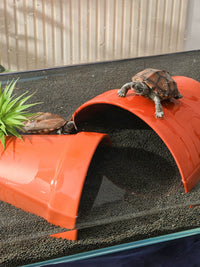 Terracotta Reptile Hideout Cave with Basking Platform for Turtles, Lizards, and Fish Tanks