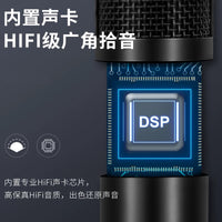 USB Condenser Microphone Kit for Live Streaming and Recording, 192KHz/24Bit High Sample Rate