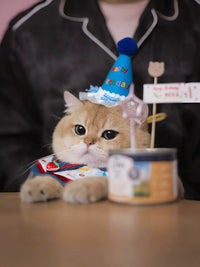 Pet Birthday Bandana Hat Set for Cats and Small Dogs, Adjustable Cake Bib Scarf and Party Hat Photo Props