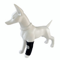 Dog Front Leg Brace for Injury Recovery and Support, Adjustable Pet Knee Protector for Senior Dogs