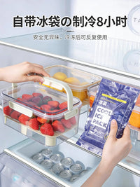 Portable Food Storage Container with Ice Pack and Straw, 800ML