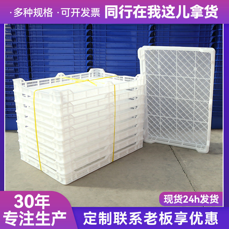 PE Plastic Freezing Tray Drying Tray Breathable Mesh Storage Box for Food Processing and Storage