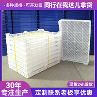 PE Plastic Freezing Tray Drying Tray Breathable Mesh Storage Box for Food Processing and Storage