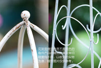 European Style Wrought Iron Plant Climbing Trellis for Outdoor Garden Patio Clematis Support