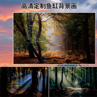 3D Forest Sunlight Aquarium Background Sticker Self-Adhesive Fish Tank Decoration