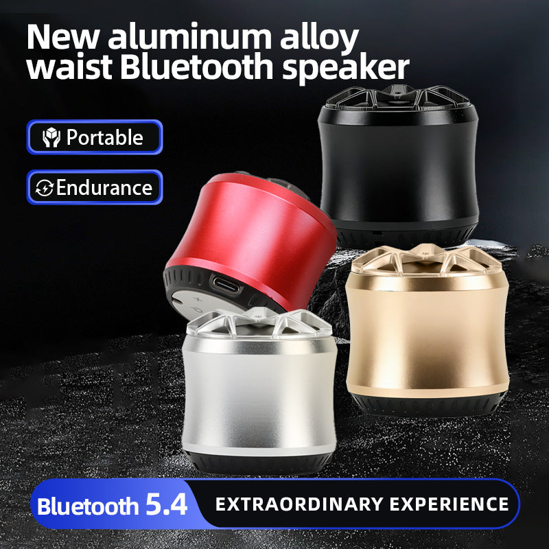 Portable Metal Bluetooth Speaker with Bass, Mini Outdoor/Home Use, TF Card & FM Radio Support