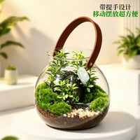 Micro Landscape Terrarium Glass Container with Leather Handle for Moss Succulents Hydroponics DIY