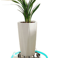 Mobile Plant Caddy with Wheels, Heavy Duty Rectangular Rolling Plant Stand for Pots, Water Dispensers, and Appliances