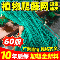 Plant Trellis Netting for Climbing Vegetables and Flowers, Heavy-Duty Support for Vines, Beans, Cucumbers, and More