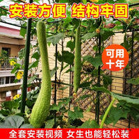 Stainless Steel Garden Trellis for Climbing Plants, Grape Vines, Cucumbers, Passion Fruit, Loofah