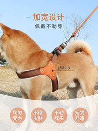 Dog Harness and Leash Set for Small to Medium Dogs - Vest Style for Bichon, Corgi, French Bulldog