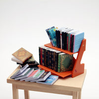 Dollhouse Miniature Classic Novel Model Bookcase with Books