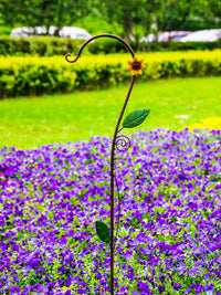 Wrought Iron Garden Ground Stake Hook for Planters & Decorations