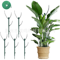 Stackable Plant Support Stakes for Climbing Plants and Potted Flowers