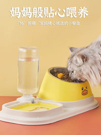 Elevated Pet Food and Water Bowl Set with Automatic Dispenser for Cats and Dogs