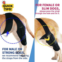 Pet Dog Leg Brace for Injury Recovery and Joint Protection