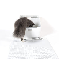Cat Litter Mat Double Layer Trapping Pad Large Size