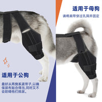 Pet Dog Rear Leg Brace Knee Support for Injury Recovery and Joint Protection