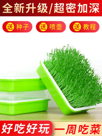 Hydroponic Seed Sprouter Tray Kit for Home Gardening, Soilless Bean Sprout Cultivator with Lid
