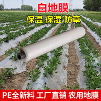 Agricultural Mulch Film for Greenhouse and Vegetable Cultivation, White Plastic Ground Cover for Winter Protection