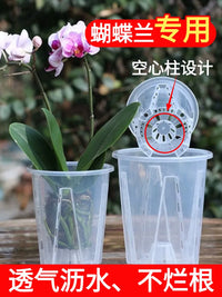 Self-Watering Orchid Pot with Root Control and Ventilation for Indoor Plants