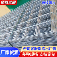 Galvanized Welded Wire Mesh for Animal Enclosures and Construction Fencing
