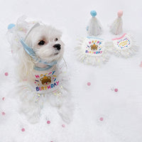 Pet Birthday Party Supplies Set with Hat, Bandana, and Drool Bib for Cats and Dogs