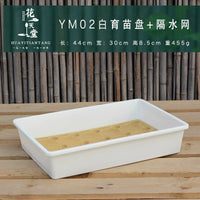 Succulent Plant Nursery Tray with Drainage Board and Square Pots for Seed Starting and Cultivation
