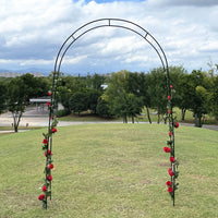 Metal Garden Arch Trellis for Climbing Plants, Roses, Clematis, and Vines