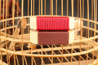 Bird Beak Grinder with Sandpaper for Myna Thrush Starling Birds